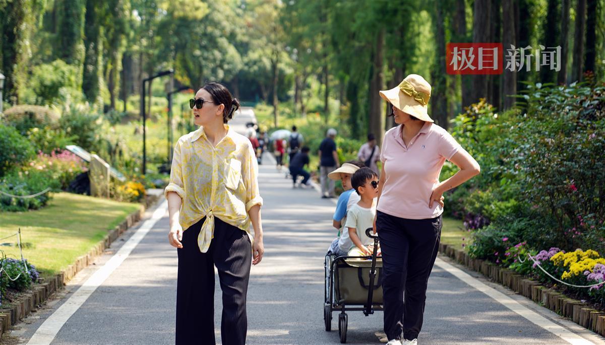新濠三元游戏官网